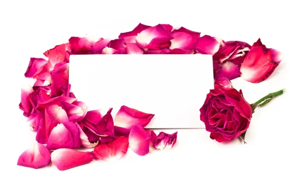 stock image Dried Rose Background