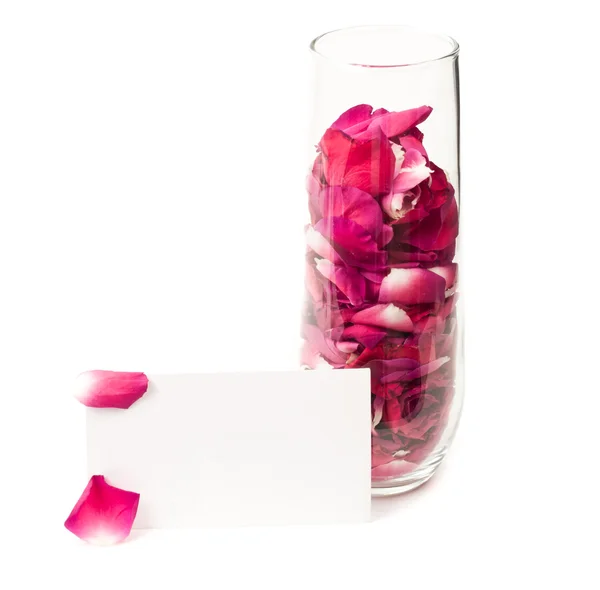 Roze bloemblaadjes in de champagne fluit — Stockfoto