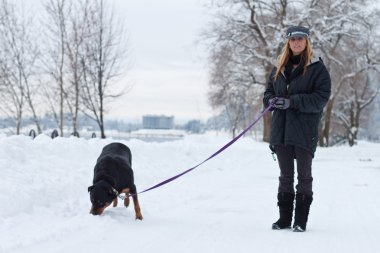 Female walking a dog clipart