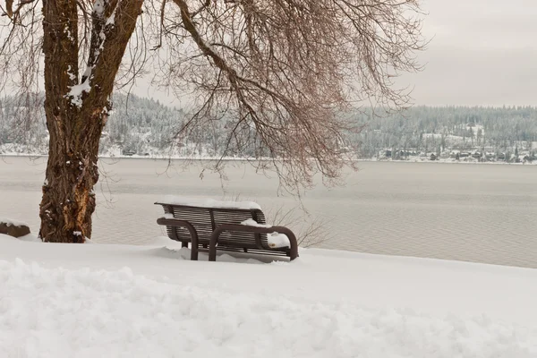 Скамейка покрыта снегом — стоковое фото