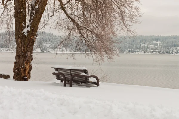 Banco coberto de neve — Fotografia de Stock