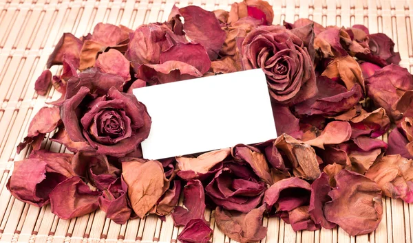 Sušené růže pozadí — Stock fotografie