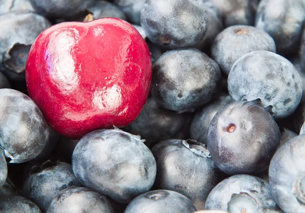 Blueberries and cherry — Stock Photo, Image
