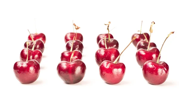 Rows of cherries — Stock Photo, Image