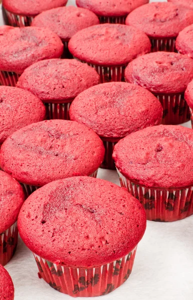 Red velvet cupcakes — Stock Photo, Image