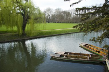 Punting at Cambridge University clipart