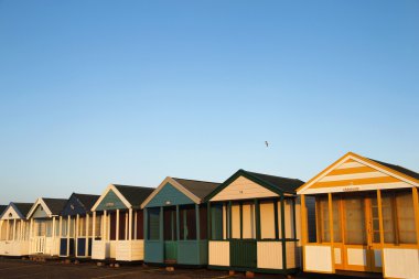 Beach huts in golden sunlight clipart