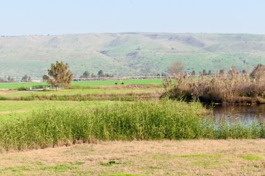 Landscape of the Upper Galilee. Israel.