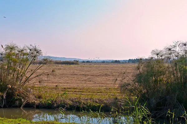Пейзаж Верхней Галилеи. Израиль . — стоковое фото