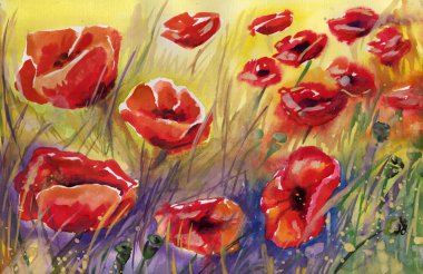 Poppies, çiçekler,