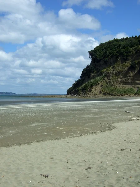 Spiaggia Nuova Zelanda — Foto Stock