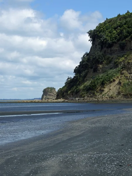 海滩新西兰 — 图库照片