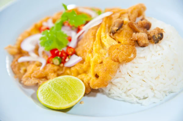 Köstliches traditionelles thailändisches Essen: heißer Reis mit Omelett, Schweinefleisch, grüne — Stockfoto