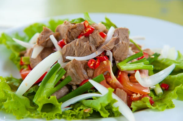 Domuz eti ve yeşil ot Tay tarzı ile baharatlı salata — Stok fotoğraf