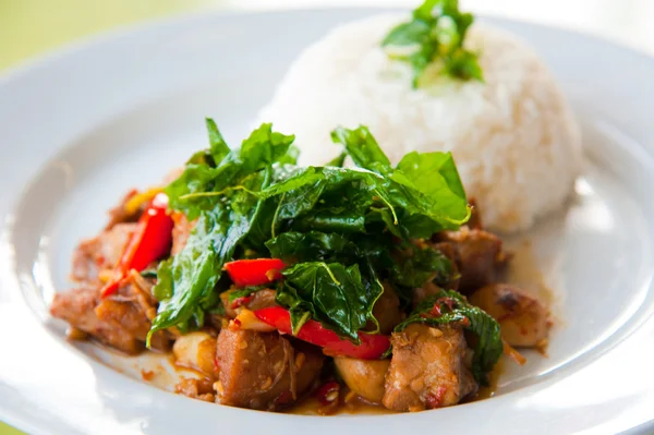 Delizioso riso caldo con carne di maiale fritta, verdure ed erbe verdi — Foto Stock