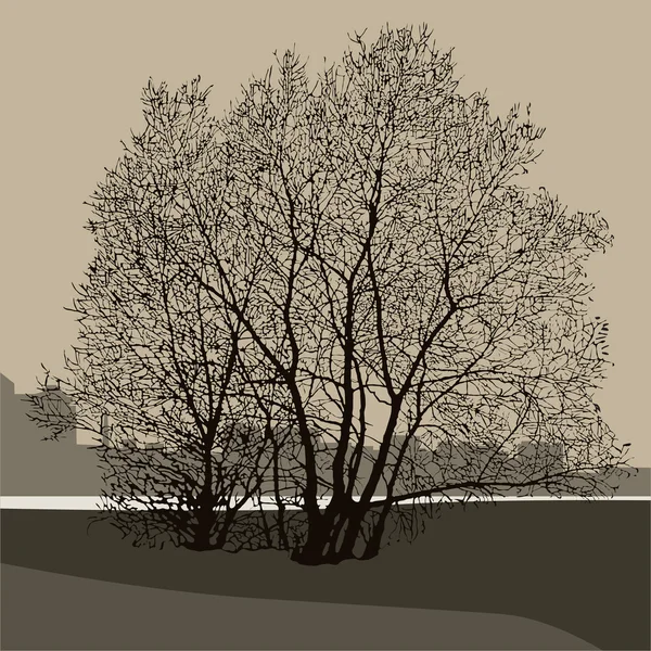 Silhouet van een boom — Stockvector