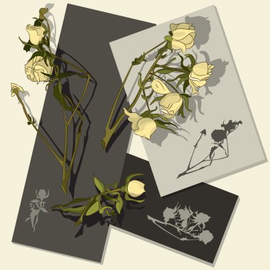 Flowers of a rose clipart