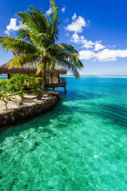 Tropical villa and palm tree next to green lagoon clipart