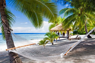 Empty hammock between palm trees on a beach clipart