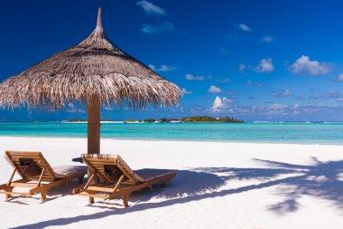 Chairs and umbrella on a beach with shadow from palm tree clipart