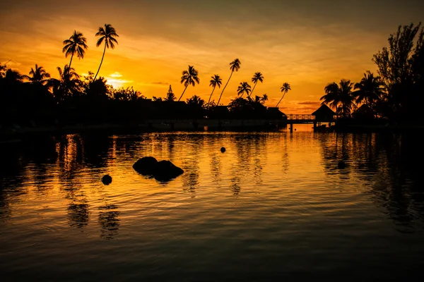 日落在棕榈树与热带天堂 — 图库照片