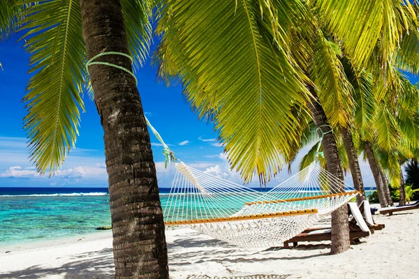 Tussen de palmbomen op tropisch strand hangmat — Stockfoto