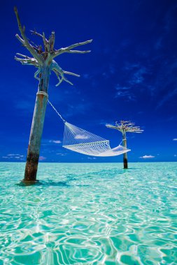 Empty over-water hammock in the middle of lagoon clipart