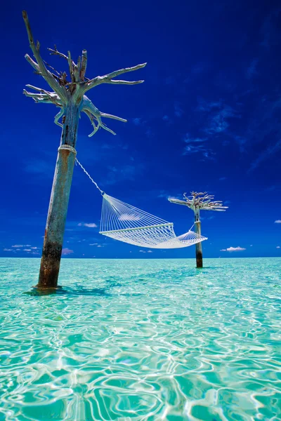 Palmy na wspaniałej plaży laguny i biały — Zdjęcie stockowe