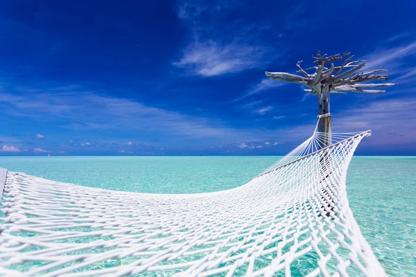 Lege hangmat over water midden in tropische lagune — Stockfoto