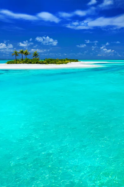 Тропический остров с кокосовыми пальмами — стоковое фото