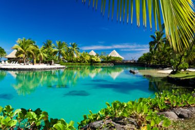 Tropical resort with a green lagoon and palm trees clipart