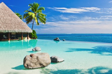 Infinity pool with palm tree overlooking ocean clipart