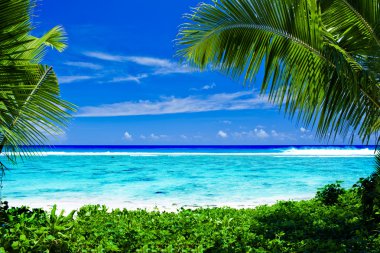Deserted tropical beach framed by palm trees clipart