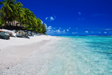 Tropical beach with palms on Cook Islands clipart