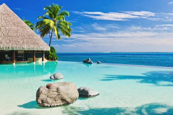 Piscina infinita con palmera con vistas al océano —  Fotos de Stock