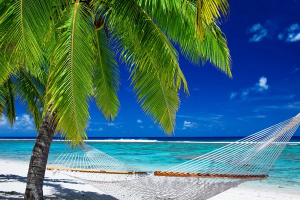 Empty hammock between palm trees on the beach — Stock Photo, Image