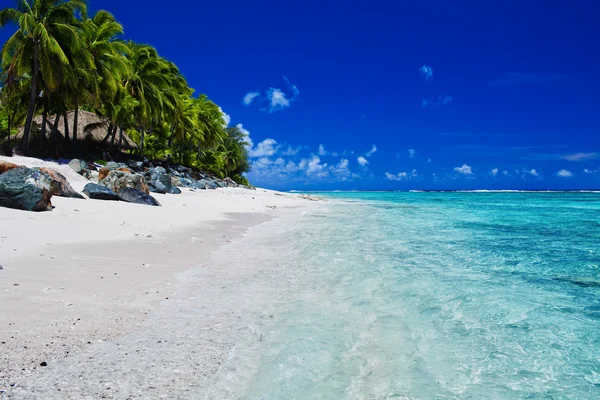 Tropická pláž s palmami na Cookovy ostrovy — Stock fotografie