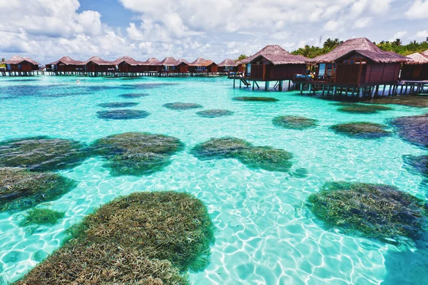 Víz bungalók és korall lagúna — Stock Fotó
