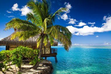 Tropical bungalow and palm tree next to amazing lagoon clipart