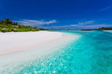 Palm trees over stunning lagoon and white beach clipart