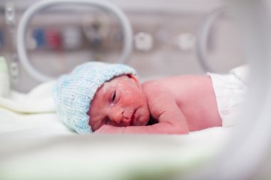 Newborn boy covered in vertix in incubator clipart