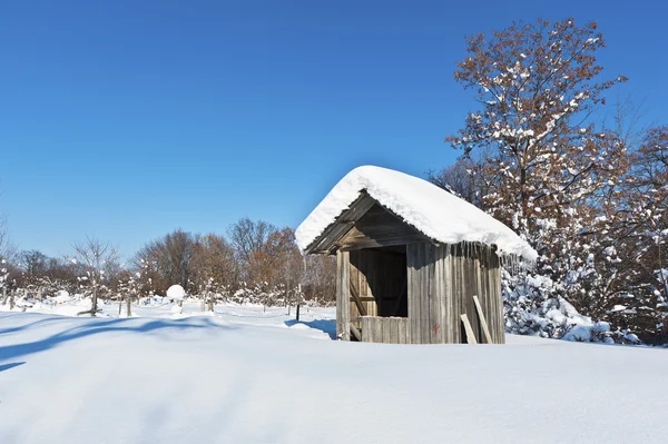 Landskab med hytte dækket med sne - Stock-foto