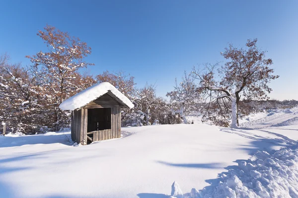 Krajobraz z chaty pokryte śniegiemBańki lekarskie terapii przypięty procesu skóry — Zdjęcie stockowe