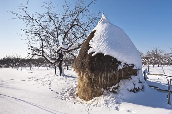 Carphatian dağlarında kış haystack Romence — Stok fotoğraf
