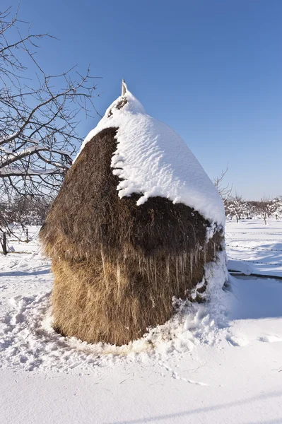 Carphatian dağlarında kış haystack Romence — Stok fotoğraf