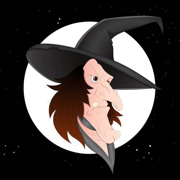 Cartoon Witch Vector — Stock Vector