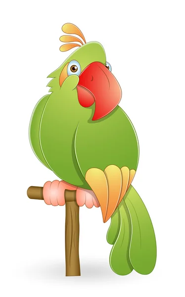 Sevimli çizgi Amerika papağanı — Stok Vektör
