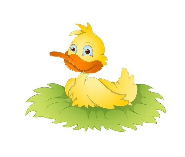 Cartoon Duck — Stock Vector