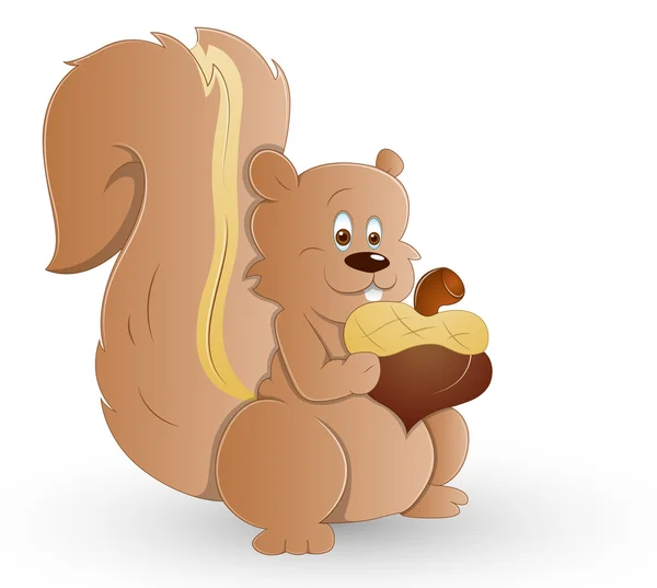 Cute Squirrel — Stock Vector