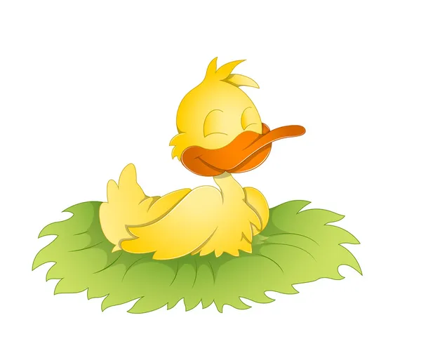 Cute Duck — Stock Vector